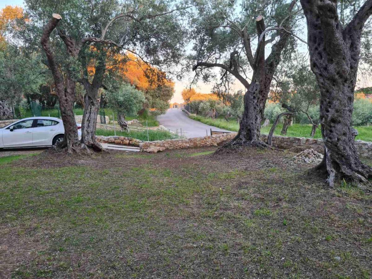 Olea Cottage أولتْسي المظهر الخارجي الصورة