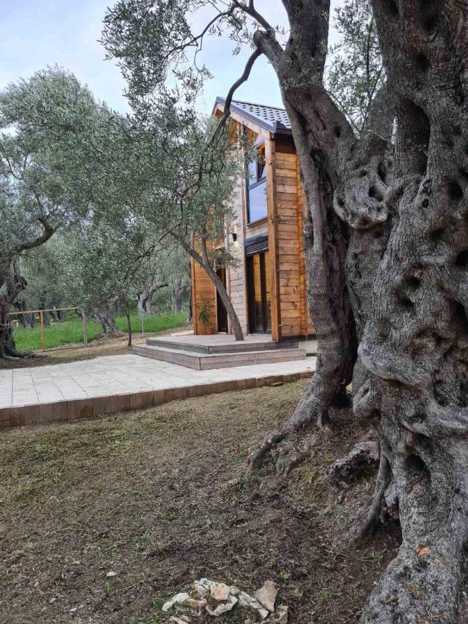 Olea Cottage أولتْسي المظهر الخارجي الصورة