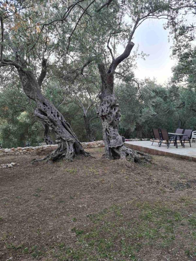 Olea Cottage أولتْسي المظهر الخارجي الصورة
