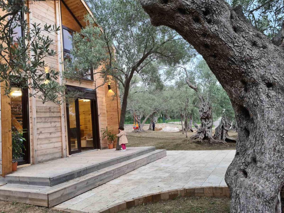 Olea Cottage أولتْسي المظهر الخارجي الصورة