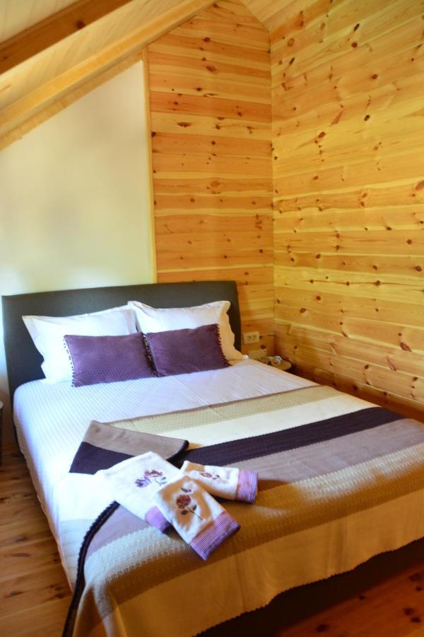 Olea Cottage أولتْسي المظهر الخارجي الصورة