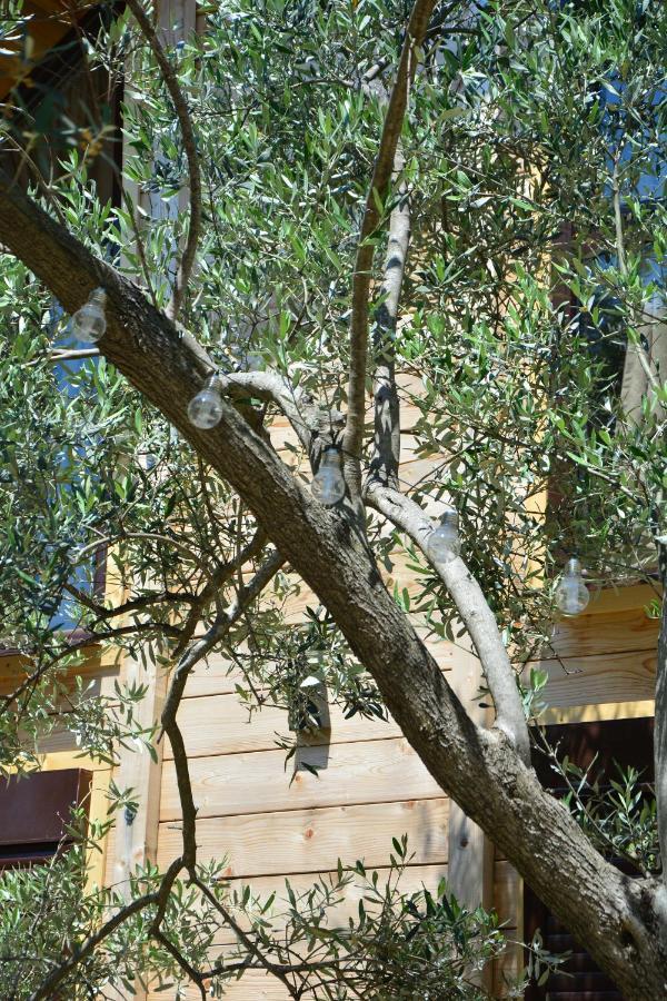 Olea Cottage أولتْسي المظهر الخارجي الصورة