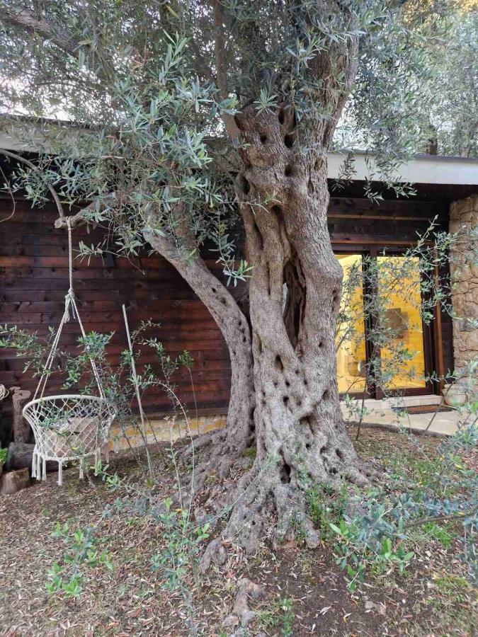 Olea Cottage أولتْسي المظهر الخارجي الصورة