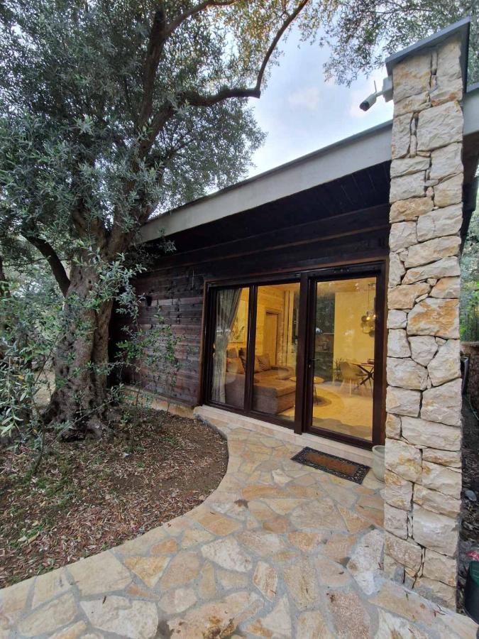Olea Cottage أولتْسي المظهر الخارجي الصورة